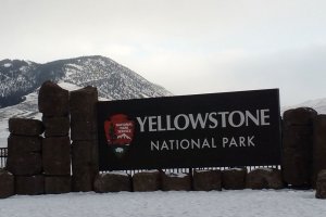 Yellowstone National Park Sign